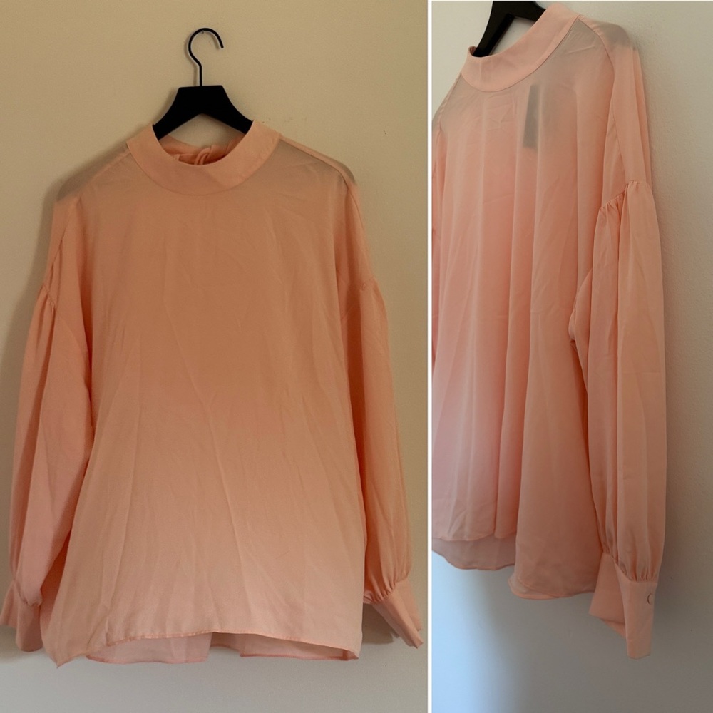 Eloquii Soft Pink Sheer Blouse